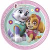 Procos Taniere Paw Patrol Skye & Everest 8 ks