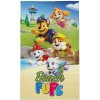 DETEXPOL Detský uterák Paw Patrol beach Bavlna - Froté, 50/30 cm