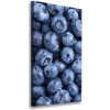 Vertikálny moderný fotoobraz canvas na ráme Jahody 50x100 cm