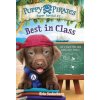 Puppy Pirates Super Special #2: Best in Class