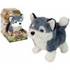 mamido Interaktívny maskot pes husky chodí chvost Zvuky