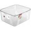 Rotho Lona Plastový box s vekom 19 l