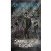 Šance pro ducha [Green Simon R.]