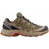 Salomon X-Adventure Recon GTX W L47815500 falcon/desert tan/hyma pink