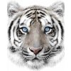 JERRY FABRICS Plyšová deka biely tyger Polyester, 120/150 cm