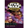 Star Wars: The New Jedi Order - Star By Star (Troy Denning)(Brožovaná)