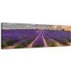 Obraz na plátne Panoráma, Levandule, 36x118cm