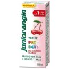 Junior-angin sirup 100 ml