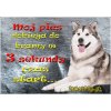 Pozorpes.sk, výstražná tabuľka (Malamut Moj pies dobiega do bramy w 3 sekundy ,czas start)