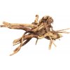 BioArt Spider Wood 10-15 cm