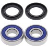 All Balls Racing Ložiská tesnenie kolesa sada All Balls Racing WB25-1659