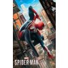 Marvel's Spider-man Poster Book