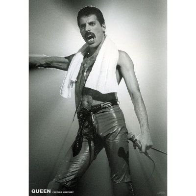 Plagát, Obraz - Queen (Freddie Mercury) - Live On Stage, (59,4 x 84 cm) od  7,99 € - Heureka.sk