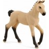 Schleich Schleich Žriebä hannoverské OLP102613929