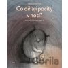 Co dělají pocity v noci? - Aleksandra Zając (ilustrátor), Tina Oziewicz