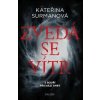 Zvedá se vítr - Kateřina Surmanová