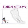 Diplom 6