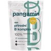 Pangamin prírodný B komplex 120 tabliet