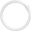 Žiarivka 40W/840 2GX13 T5 studená kruhová 16x300mm