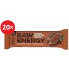 Bombus Raw Energy Cocoa & Cocoa beans 20× 50 g