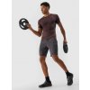 Men's quick-drying sports shorts 4F anthracite šedá 4F