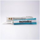 Stomodine gel na ďasná 30 ml