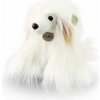 RAPPA Plyšový pes čínský chocholatý - labutěnka 30 cm, Eco-Friendly