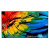 PHILIPS Hotel TV 58HFL6214U/12 146,0cm(58