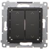 Kontakt slepého konektoru kontaktu-Simon Kontakt Simon 54 DZW2.01/49 Dvojitý modul 10A, 250V ~, rychlé spojení s dekorativním prstenem černou
