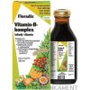 SALUS Floradix Vitamín-B-komplex tekutý vitamín 250 ml