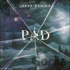 Pád - Jozef Karika