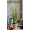 Umelá rastlina Tráva, 80 cm, 930589