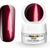d-nails Farebný UV/LED Gél ml015 Burgundy Ice 5 ml