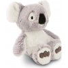 NICI plyš Koala Barry 25cm GREEN (102061712)