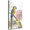 Vertikálny foto obraz na plátne Papagáje a kvety 50x100 cm