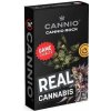 CANNIO CBG9 kvety CANNIO ROCK 1g