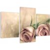 Obraz na stenu - ruže (Obraz 90x60cm)