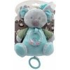 Teddies Medveď koala hrkálka plyš 19cm záves zelený