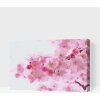 Vymalujsisam.sk Maľovanie podľa čísiel - Kvitnúca čerešňa Veľkosť: 40x60cm, Rám: Na plastovej doske