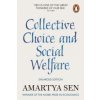 Collective Choice and Social Welfare