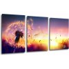 Impresi Obraz Púpava sa západom slnka - 120 x 60 cm (3 dielný)