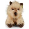 Plyšový pes cairn teriér 30 cm ECO-FRIENDLY