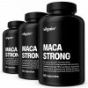 Vilgain Maca Strong – 3× 90 kapsúl