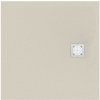 Ideal Standard Ultra Flat S 80 x 80 cm K8214FT