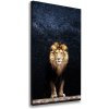 Vertikálny foto obraz na plátne Lev na pozadí hviezd 50x100 cm
