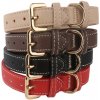 Obojok Nobleza s prackou pre psa L (š.2cm x d.45cm) Farba: Červená