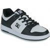 DC Shoes Nízke tenisky MANTECA 4 Biela