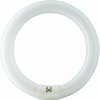 BELLIGHT Žiarivka 32W/865 G10Q kruhová 29x307mm