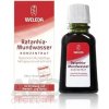 Weleda Dental Care 50 ml