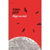 ALGO VA MAL (TONY JUDT)(Pevná)